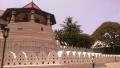 08 - Kandy (tempelj budinega zoba) in prihod v zeleno osrčje Šri Lanke (plantaže čajev): 28.04.2017