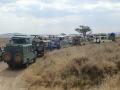 17.8.: Začetek Safari-ja z obiskom kačje farme in nacionalnega parka Manyara  