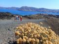 3.8.2020: Celodnevni izlet z ladjico - po vulkanskih poteh 3 otokov (Nea Kameni, Palia Kameni in Thirasia)